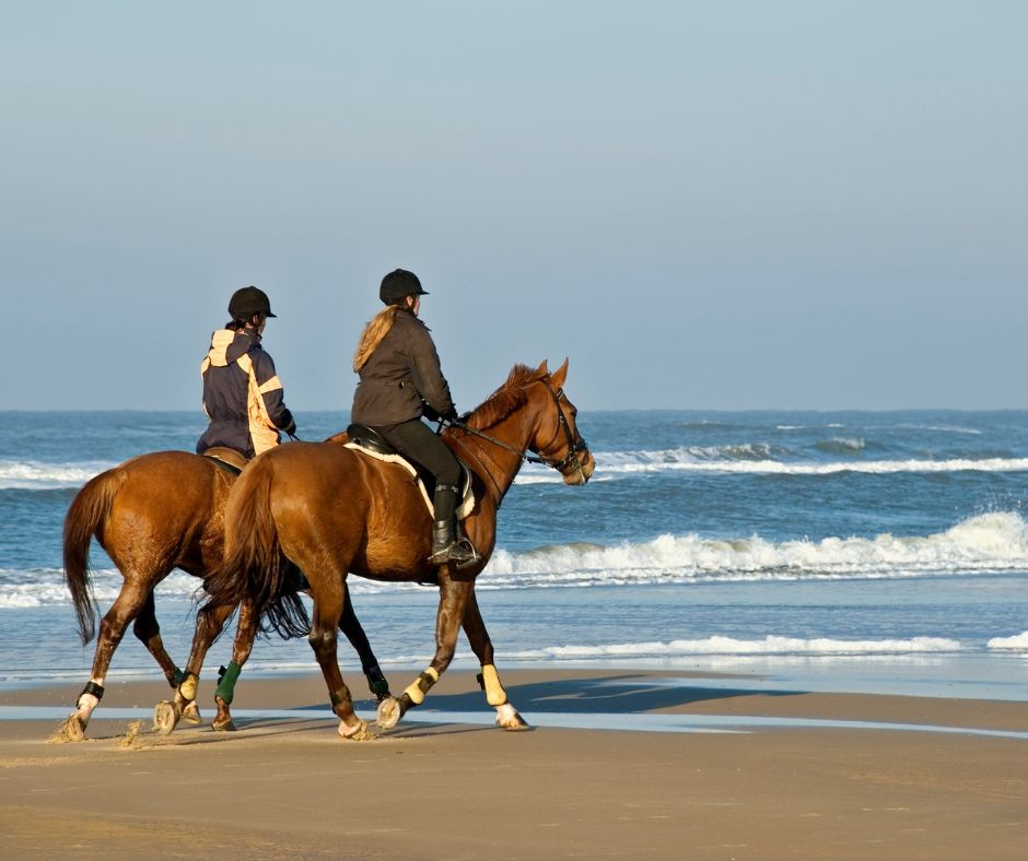 horse riding