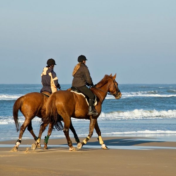 horse_riding